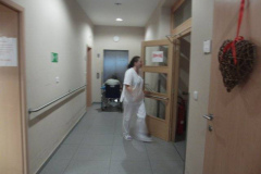 phoca_thumb_l_534