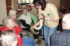 phoca_thumb_l_cimg0401