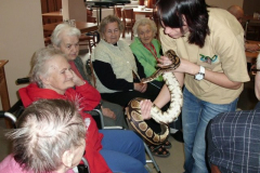 phoca_thumb_l_cimg0402