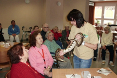 phoca_thumb_l_cimg0405