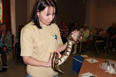 phoca_thumb_l_cimg0407