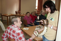 phoca_thumb_l_cimg0408