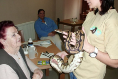 phoca_thumb_l_cimg0410