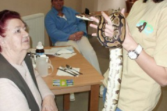 phoca_thumb_l_cimg0411